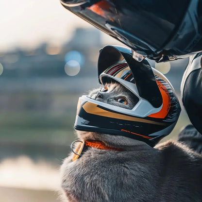 MyPets / CASQUE MOTO CHAT 🏍️🐾