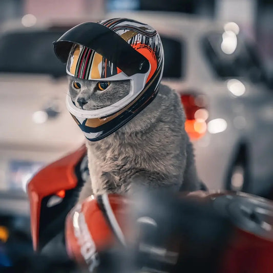 MyPets / CASQUE MOTO CHAT 🏍️🐾